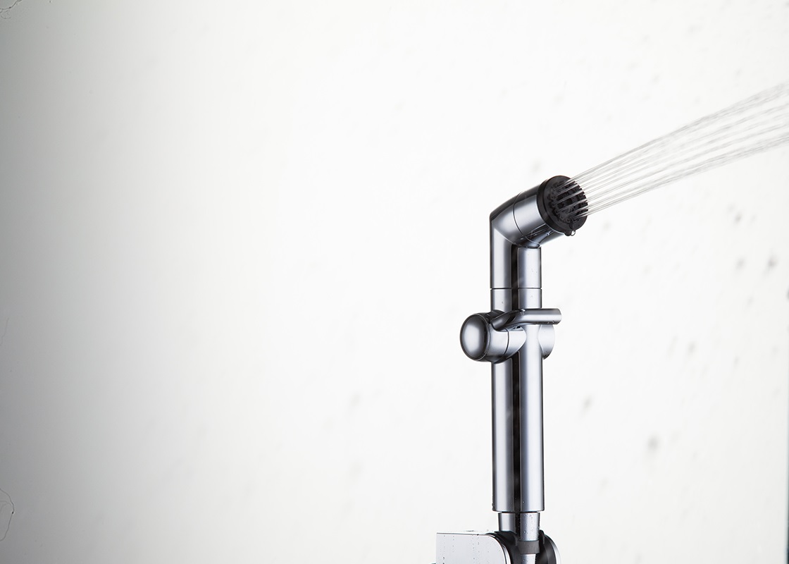 Лейка для душа 2-режима хром GAPPO G36