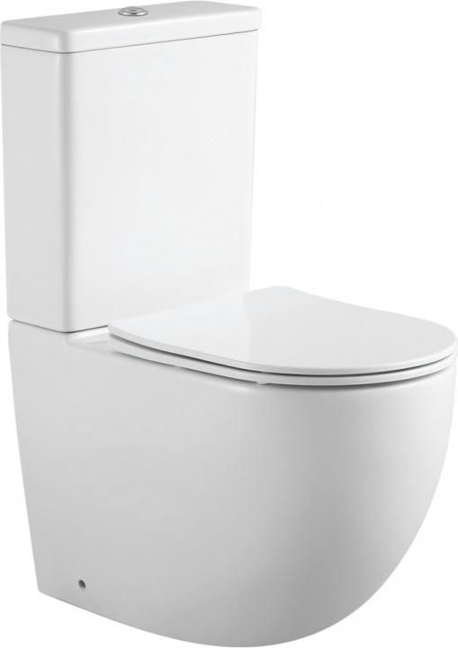 Чаша напольного унитаза Aquanet Rimless LX-2903 Cetus 2.0 C1