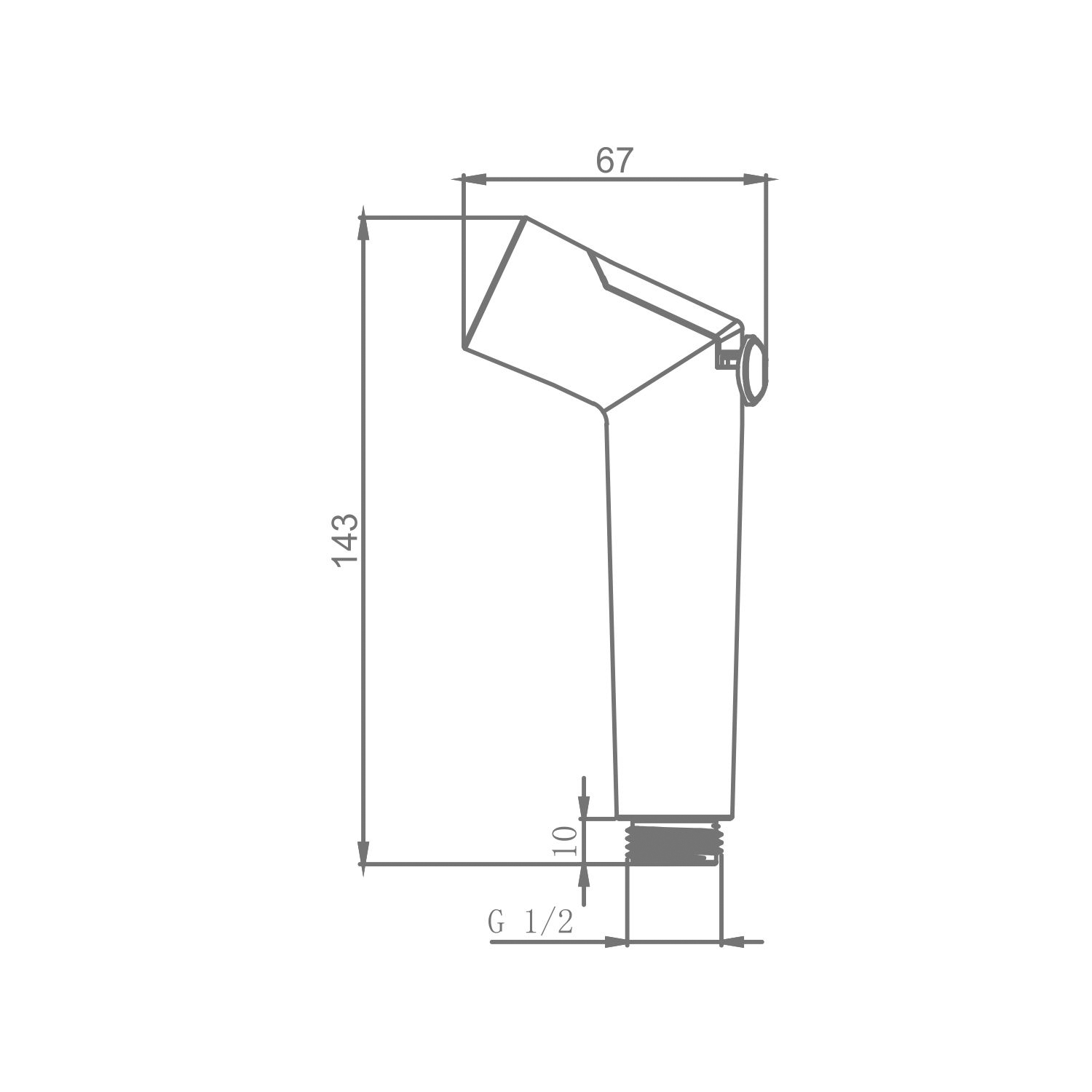 Лейка для гигиенического душа Raglo R460.01 с клавишей регулировки воды пластик/силикон, хром