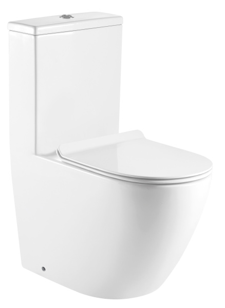 Унитаз-моноблок AZARIO MORANO 680x370х830 напольный, безободковый, в комплекте со смывным механизмом Geberit и сиденьем дюропласт микролифт () AZ-1001-G