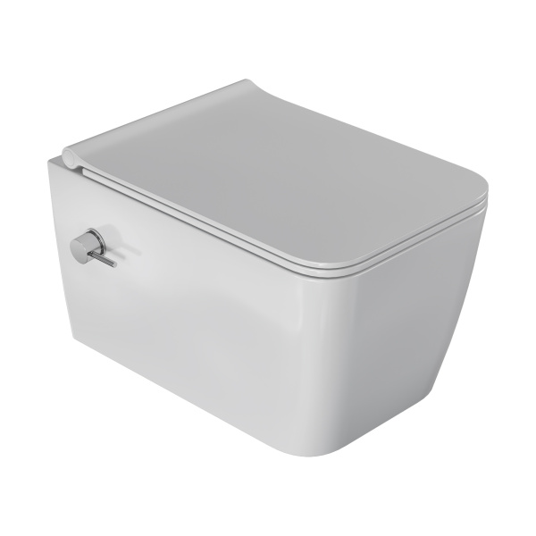 Унитаз подвесной Zen с биде глянец белый с крышкой