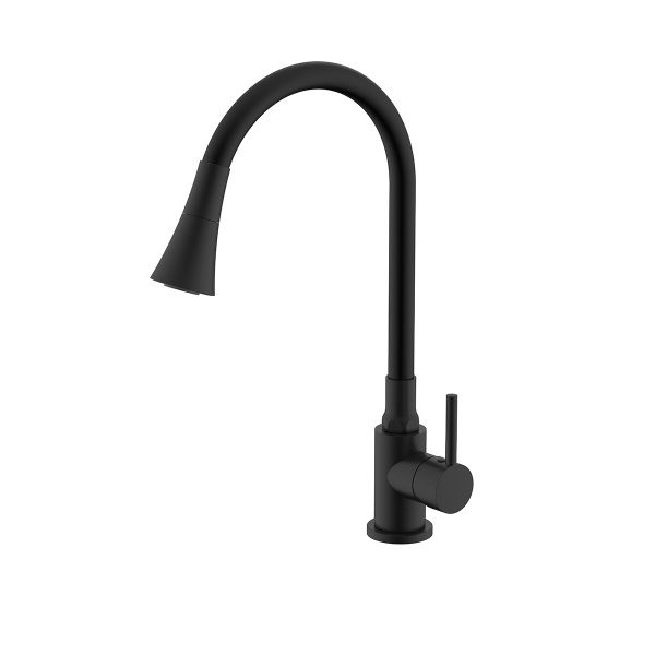 Смеситель Splenka S201.4306.06 для кухни 2-х режимный гибкий поворотный излив, черный