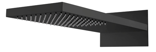 Лейка верхняя FUSION Black 