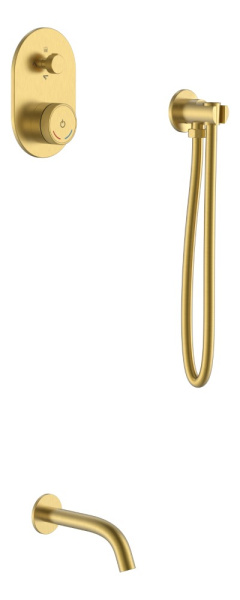 Смеситель встроенный + излив + держатель лейки + шланг TECH Matt Gold