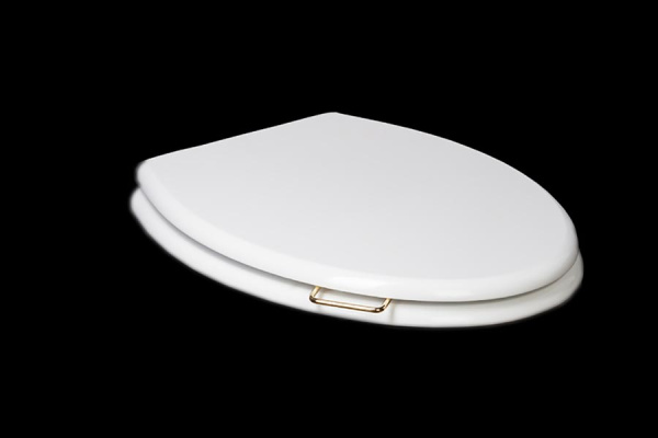 Крышка массив для унитаза Puro микролифт GOLD_Комплект