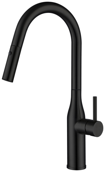 Смеситель для кухни с фильтром чёрный GAPPO G4398-46