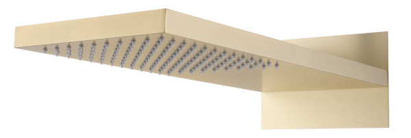 Лейка верхняя FUSION Gold 