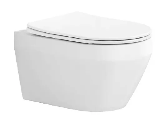 Унитаз подвесной  ЛЕЯ TORNADO 490*360*320мм, тонкое сиденье с механизмом плавного закрыван