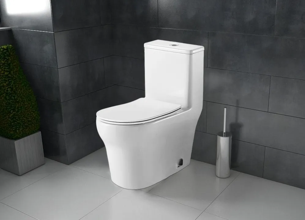 Унитаз-моноблок AZARIO SINTO 720х390х765 напольный, в комплекте с сиденьем дюропласт микролифт, белый () AZ-1098