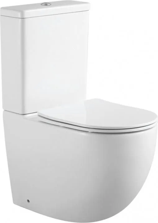 Чаша напольного унитаза Aquanet Rimless LX-2903 Cetus 2.0 C1