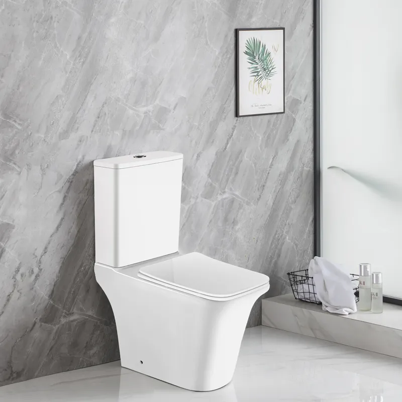 Унитаз-компакт Azario AVERO 660x360х820 напольный, безободковый со смывным механизмом Geberit, бачком и сиденьем микролифт () AZ-1213A-G