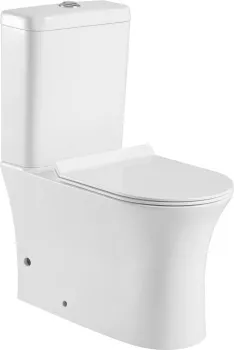 Чаша напольного унитаза Aquanet Rimless CL-12249B Roll-C