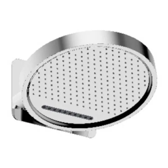 Тропический душ 323мм(нерж) 2-режима RAGLO R452.02