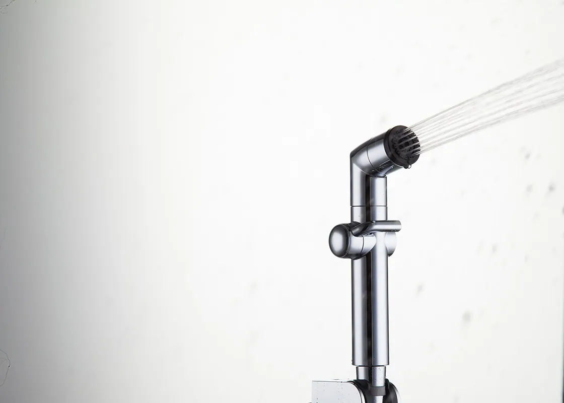 Лейка для душа 2-режима хром GAPPO G36